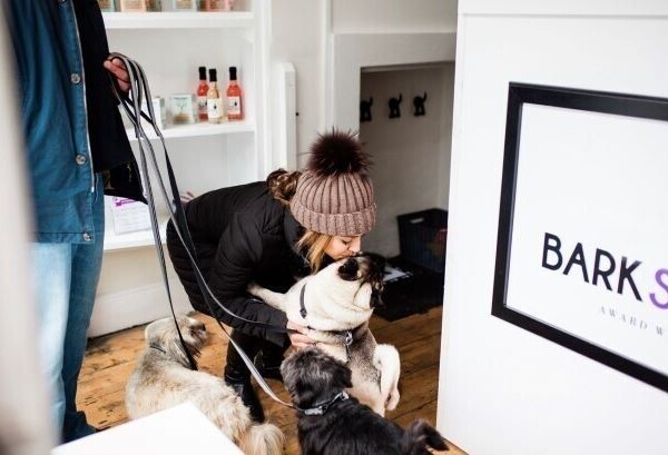Award-Winning Dog Grooming Business for Sale in Berkshire Photo 3