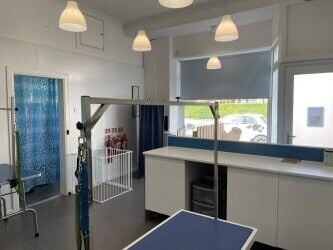 Dog Grooming Business For Sale in Giffnock, Glasgow