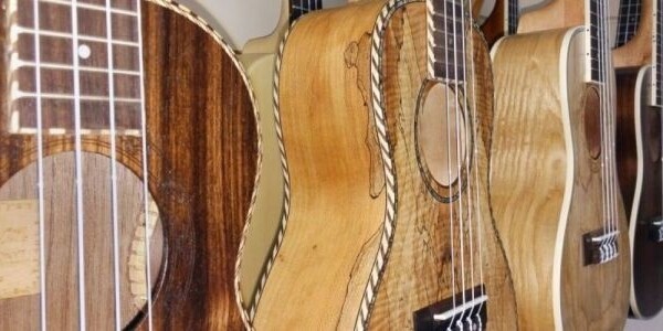 Popular Musical Instrument & Accessories Shop for Sale in Herefordshire Photo 3
