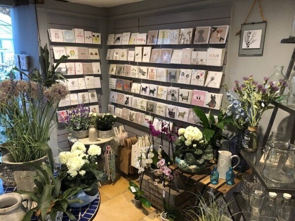 WELL-ESTABLISHED FLORISTS in Oxfordshire Cotswolds town of Chipping Norton. Photo 3