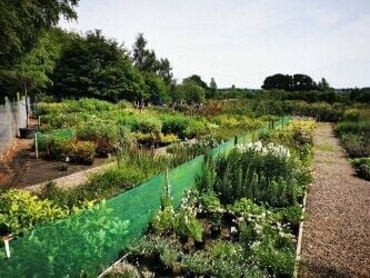 Largest Retail and Wholesale Horticultural Nursery in Wales Largest Retail and Wholesale Horticultural Nursery in Wales