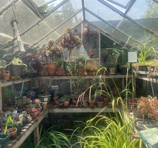 Garden Centre & Horticulture For Sale in Crewe Photo 3