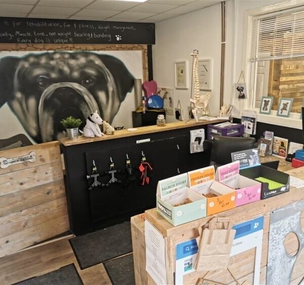 Leading Canine Hydrotherapy Centre based in Huddersfield Photo 3