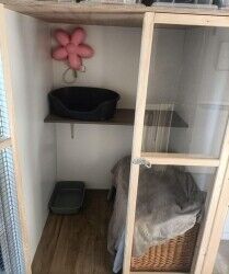 Cattery - Weston Super Mare Photo 3