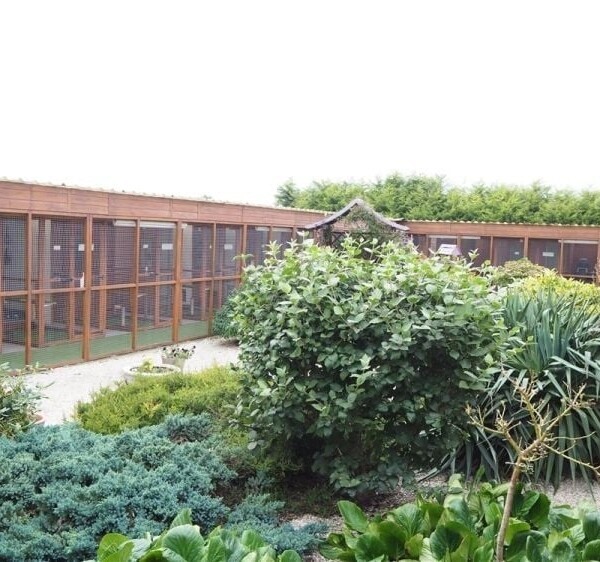 Kennels, Cattery & Equestrian businesses For Sale in Scunthorpe Photo 3