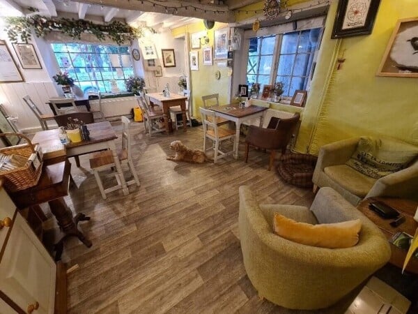 Character Café & Tearoom With Accommodation In Chagford, Devon Photo 3