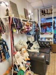 DOG GROOMING BUSINESS FOR SALE, Henfield, West Sussex