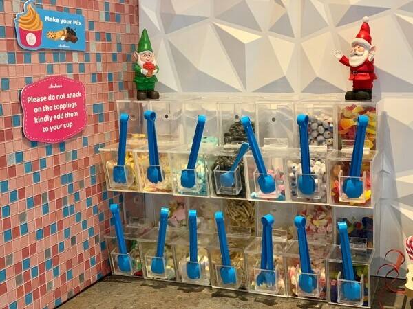 Famous Frozen Yogurt Parlour Photo 3