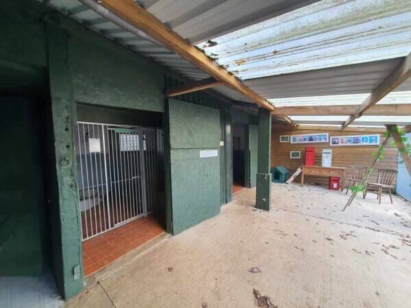 A wonderfully located kennels for sale Photo 3