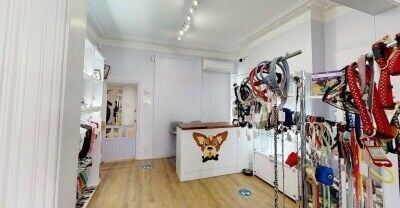 Highly Popular Pet Boutique Business For Sale In Weybridge, Surrey Highly Popular Pet Boutique Business For Sale In Weybridge, Surrey