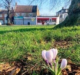 Popular Leasehold Café, Bistro For Sale