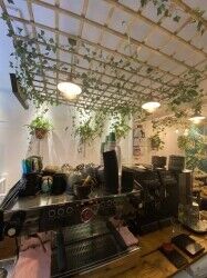Licensed coffee shop for sale Photo 3