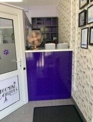 Dog grooming salon is for sale. Dog grooming salon is for sale.