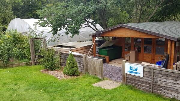 Well-Established Top Quality Hand Selected Koi Carp Business Based Near Henley-On-Thames Photo 3