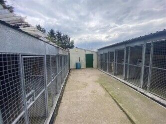 Kennels, Cattery & Equestrian businesses For Sale in Colne Photo 3