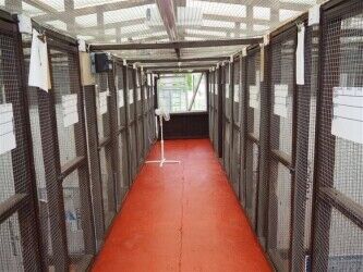 Kennels, Cattery & Equestrian businesses For Sale in Rugby Photo 3
