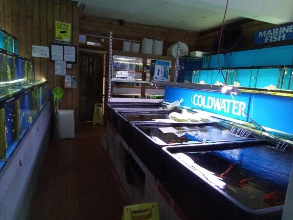 Aquatics Shop for sale in the West Midlands  Photo 3