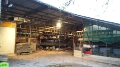 Scaffolding Supply & Erect business Photo 4