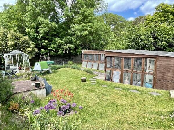 Established Cat Hotel and owners residence Photo 1