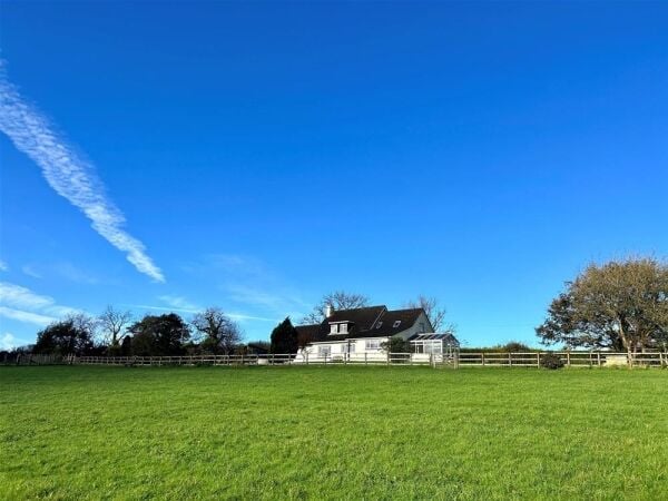 Luxury Boarding Kennels - Pembrokeshire Photo 3