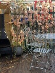 Wine Bar & Flower Shop for Sale Wine Bar & Flower Shop for Sale