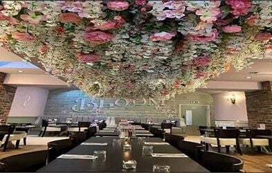 PROPERTY SOLD - Bloom Bar And Bistro, Liverpool PROPERTY SOLD - Bloom Bar And Bistro, Liverpool