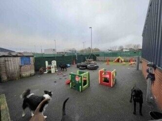 Exceptional Doggy Day Care Centre, Inverness Photo 3