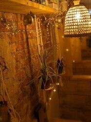 Small beautiful cafe in Bournemouth Photo 3