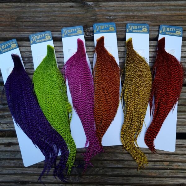 A SPECIALIST FISHING E-COMMERCE BUSINESS A SPECIALIST FISHING E-COMMERCE BUSINESS