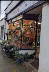 Florist shop in Mansfield Woodhouse Florist shop in Mansfield Woodhouse