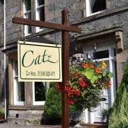 Successful in-house cattery for sale, Dufftown Successful in-house cattery for sale, Dufftown