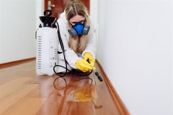 PROVIDER OF PEST CONTROL AND PREVENTION SERVICES Photo 3