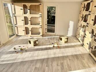Home-Based Small Pet Boarding Hotel for Sale in Erith, Kent