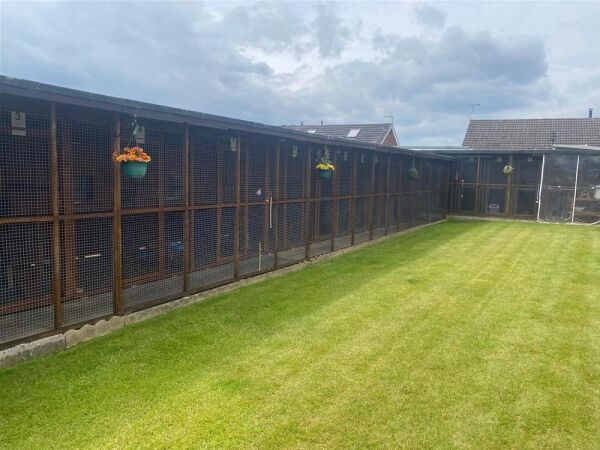 ***REDUCED*** Well established and Highly Respected Cattery (Licensed 24 Cats) - North Lincolnshire Photo 3