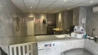 Dog grooming business for sale manchester Dog grooming business for sale manchester