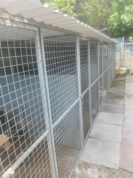 BOARDING KENNELS & CATTERY - MIDLOTHIAN Photo 3