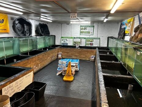 Unique Long Established Aquatics Business with Accommodation West Midalnds Photo 3