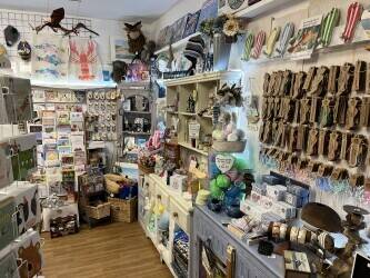 Gift and Game shop for Sale in Bournemouth Gift and Game shop for Sale in Bournemouth