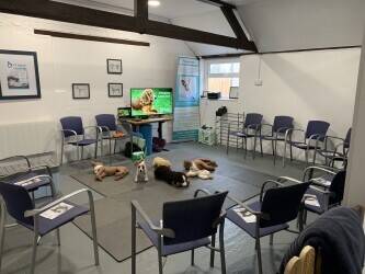 Dog First Aid Training for sale in Gloucestershire - Franchise Dog First Aid Training for sale in Gloucestershire - Franchise