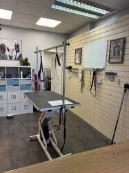 Dog grooming business for sale Tonypandy 