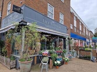 Established Flower Shop for Sale in hampton court palace