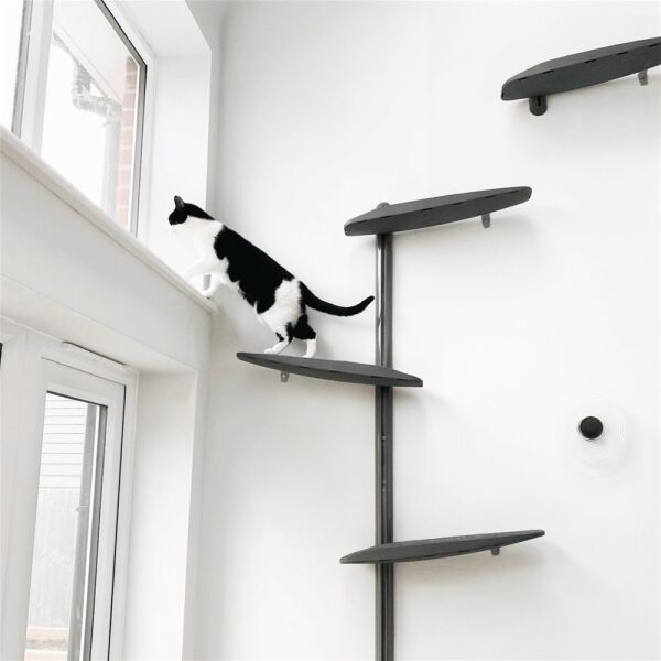 WELLNESS-FOCUSED CAT FURNITURE BRAND Photo 3