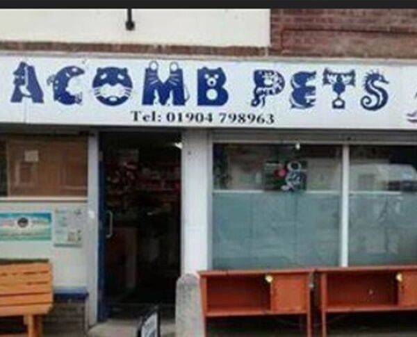 PET SUPPLIES & ACCESORIES busy trading locality YORK PET SUPPLIES & ACCESORIES busy trading locality YORK