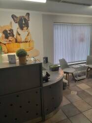 Doggie Wash and Grooming in Dorchester Doggie Wash and Grooming in Dorchester