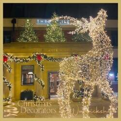 Exciting sale of a Christmas Decorating Franchise in Warwickshire