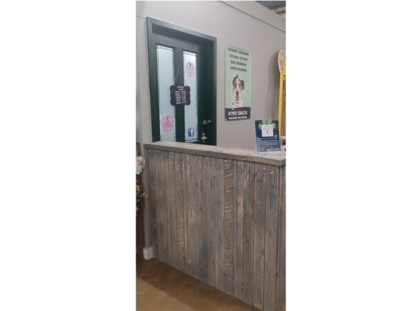 Pawsitively Profitable! Dog Grooming Business in Prime Garden Centre Spot Photo 3