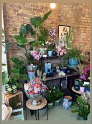 Dutch inspired Florist for sale in thriving Clapham with Potential for Alternative Use Dutch inspired Florist for sale in thriving Clapham with Potential for Alternative Use