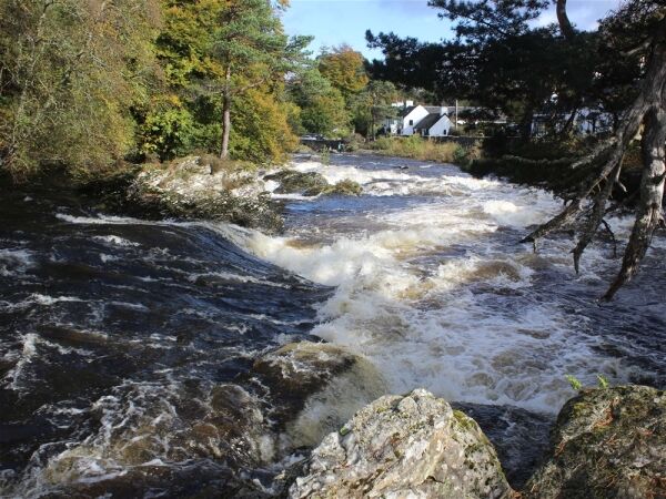 Capercaillie Restaurant and Rooms Photo 3