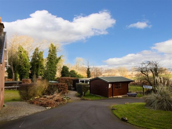 Copperfield Cattery Photo 3