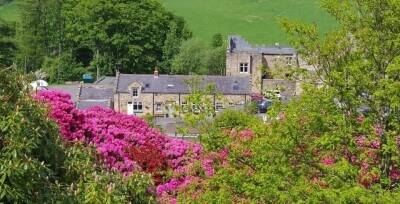 Bed & Breakfast, Restaurant & Bar, Hadrians Wall Bed & Breakfast, Restaurant & Bar, Hadrians Wall